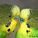 welli04 welli04