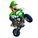 luigi66