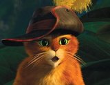robjop