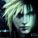 Wyverianer-