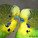 FloRaider13 FloRaider13