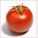 elTomato