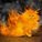 FireCat FireCat