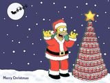 Homer-S