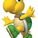 StarKoopa2010