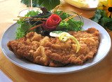Schnitzelsche