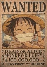 Animefan-98