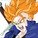 Trunks55555