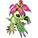 Palmon15