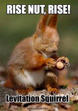 Conker_Squirrel