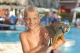 brian97