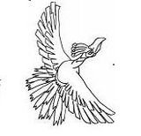 Ho-oh20