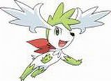 Shaymin98