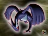 Dunkleslugia
