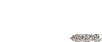 Teuflon
