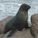 zocker_85 zocker_85