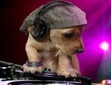 Charlybrwon