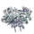Alexander23