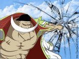 Whitebeard89