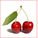 cherry96