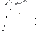 Black_JackFW95