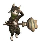 Katzenkamerad