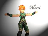 Merridarix