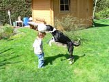 cora-balu