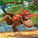 DiddyKong111