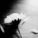 _bLaCkRoSe_