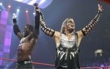 Probewrestler