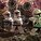 MsKing_33 MsKing_33