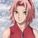 sakura23