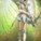 Ailish18 Ailish18