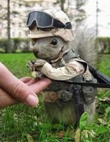 CaptainLuke