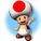 toad15