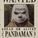 Pandamann