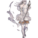 Leo3Angel