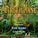 Secret_of_Mana Secret_of_Mana