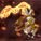 pokemon_perl_01
