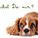 Sophie383603