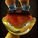 Daxter_das_Ottsel