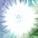 ultrastar