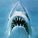 BritishShark11