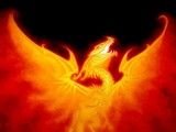 Firedragon97