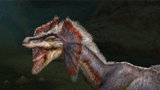 jaggi