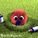 kevindrache kevindrache