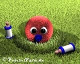 kevindrache