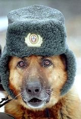 RussiaAlex