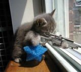-SWATM-